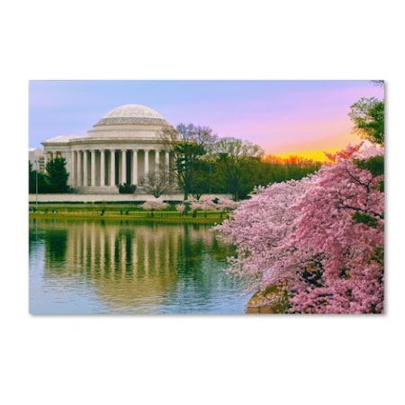 CATeyes 'Cherry Blossoms 2014-6' Canvas Art,16x24